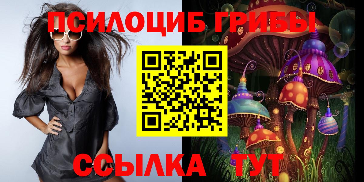 Россия  Галлюциногенные грибы GOLDEN TEACHER  Вход с VPN  Псилоцибиновые грибы Psilocybe 